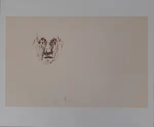 Melle Oldeboerrigter - Map Melle zestig kopen? Bied vanaf 145!