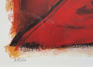 Cor de Jong - Contemplation | Ingelijst kopen? Bied vanaf 45!