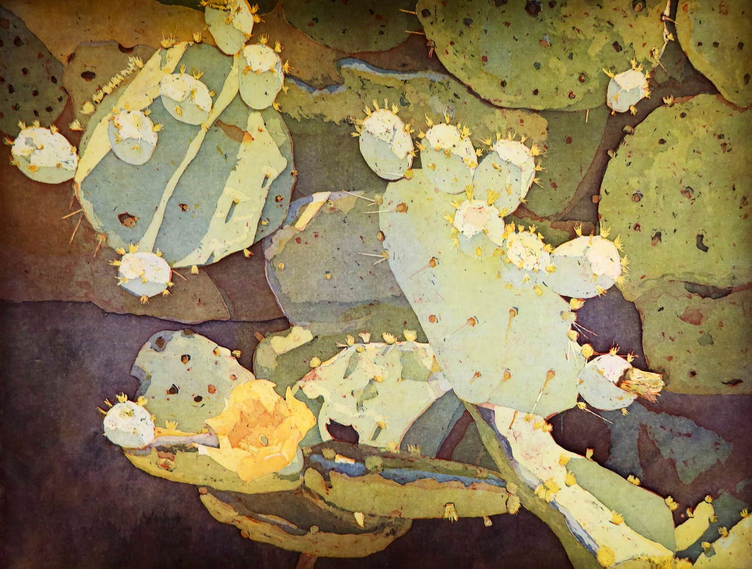 Marcel Schellekens - Kleurenets, Cactussen (Groot) verkocht voor € 150!