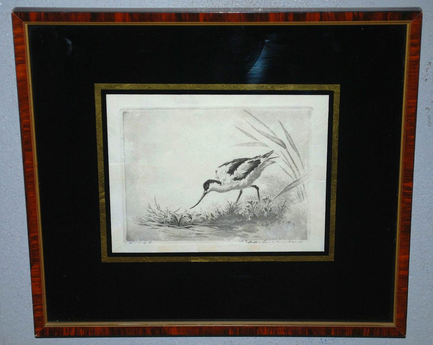 Maarten Langbroek - Kluut - fraai ingelijste ets kopen? Bied vanaf 50!