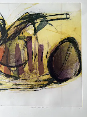 Hans Vredegoor - Prachtige kleurenets - Gesigneerd - Kleine oplage - 'Intrige' kopen? Bied vanaf 65!