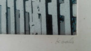 Leo Kools - Ierland duinenkust kopen? Bied vanaf 24!