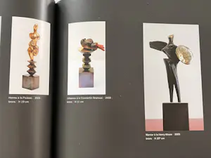 Loek Bos - Warrior a la Henry Moore + boek kopen? Bied vanaf 325!