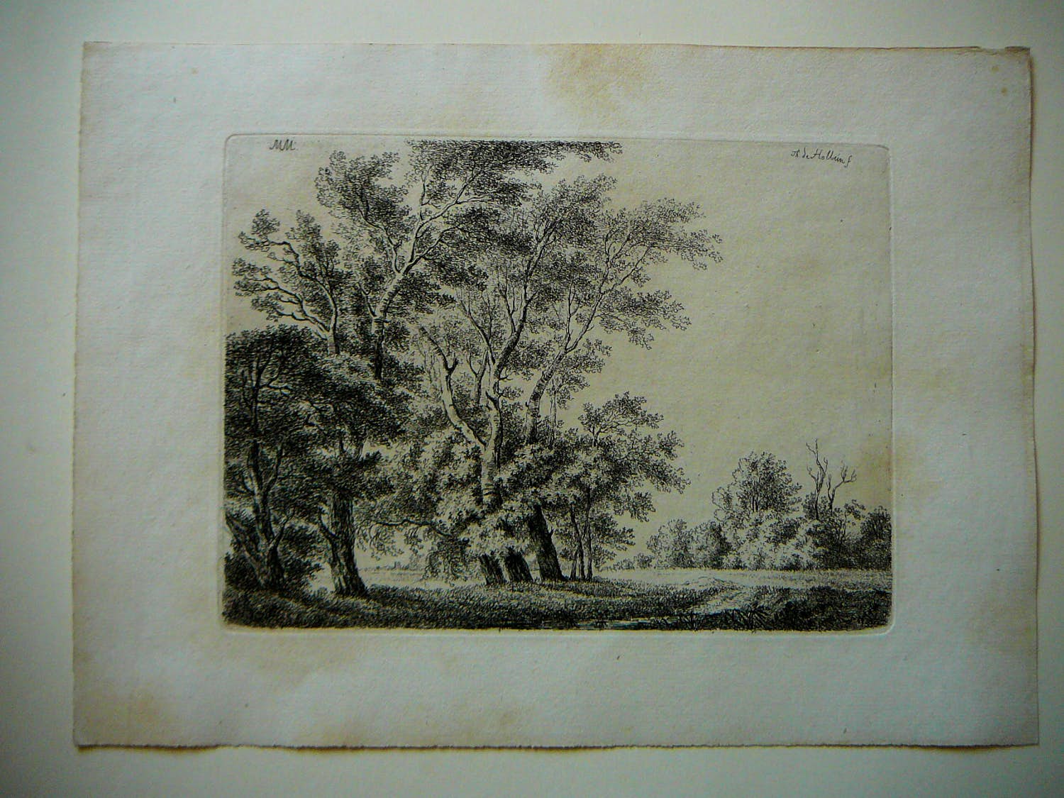 Therese Holbein von Holbeinsberg - Landschap met bomen verkocht voor € 50!