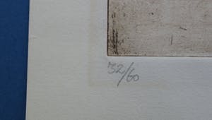 Ronald Tolman - Zonder kopen? Bied vanaf 55!