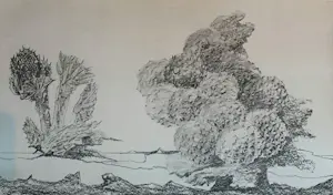 Max Ernst - Map met 34 werken: Histoire Naturelle - 1972 kaufen? Bieten Sie von 499!