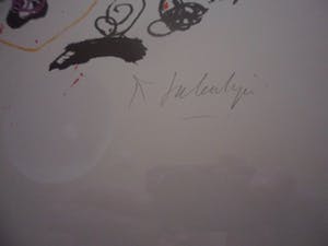 Kees Salentijn - Zeefdruk, geen titel kopen? Bied vanaf 40!