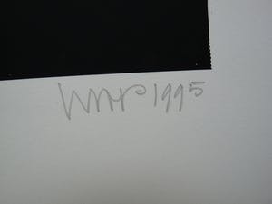 Hans Wap - TWEE ZEEFDRUKKEN betreffende VERVOER kopen? Bied vanaf 55!