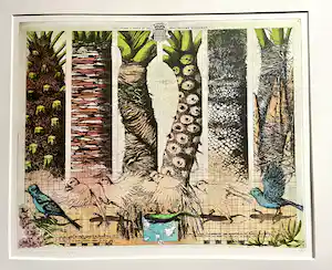 Rolf Weijburg - Flora y Fauna de las islas Canarias Occidentales vendu pour 95€ !