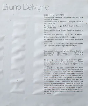 Bruno Delvigne - "De eenzame Berg" kopen? Bied vanaf 50!