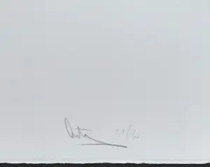 Arty Grimm - Cees Nooteboom - Tekens tegen het wit, tekst + zeefdruk kopen? Bied vanaf 75!