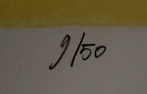 Hans Wap - Zeefdruk: Two birds of one feather - 1998 kopen? Bied vanaf 69!
