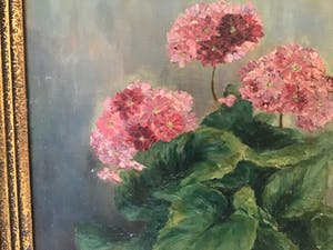 Felicien Bobeldijk - Bloemen in Vaas kopen? Bied vanaf 50!