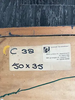 Poso Shahidi - Paissaggio kopen? Bied vanaf 50!