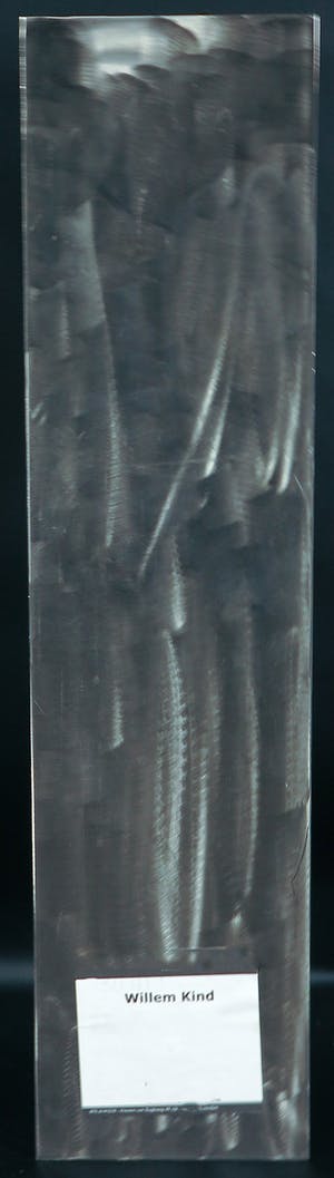 Willem Kind - Roestvrijstalen sculptuur, Figuur 'uit' (middel) kopen? Bied vanaf 200!