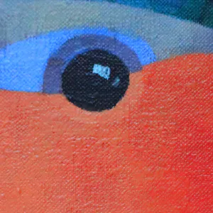 Willem Visser - De roodborst kopen? Bied vanaf 89!