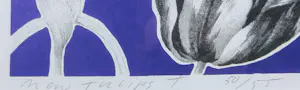 Arjan van Arendonk - Unieke print/plak, New Tulips - Ingelijst kopen? Bied vanaf 100!