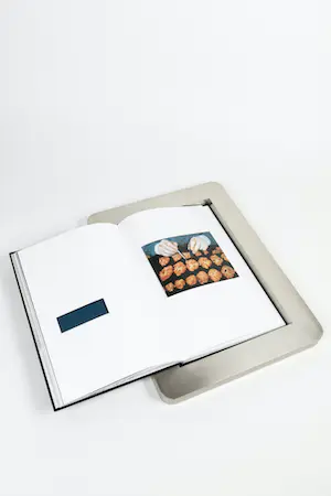 AcheterDamien Hirst - gesigneerd, The Elusive Truth, New Paintings, exclusieve uitgave in metalen box? Enchérissez de 1750!