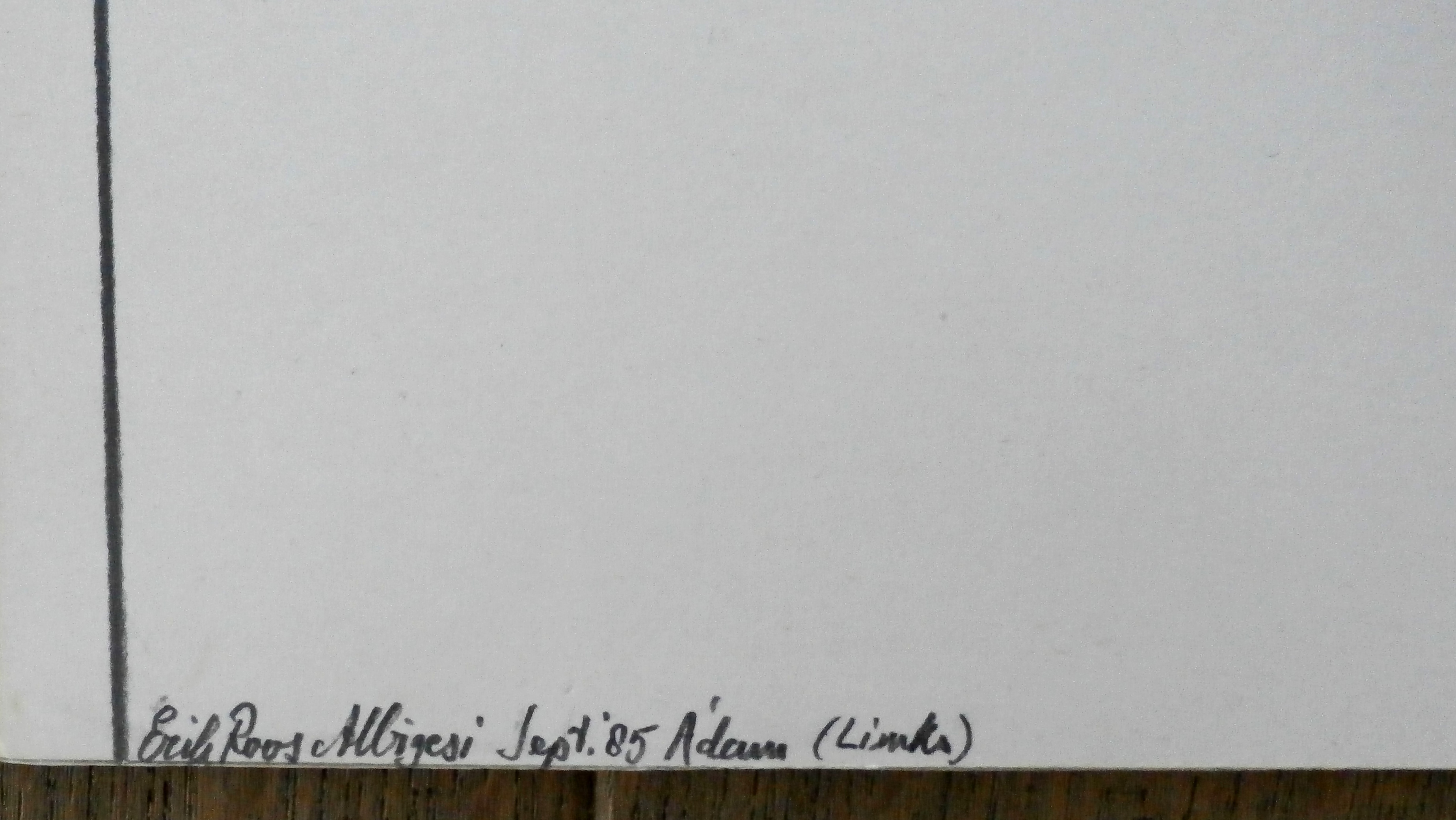 Erik Roos - potloodtekening - Albigesi (links) - 1985 kopen? Bied vanaf 49!