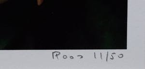 Bert Houweling - 'Roos' kopen? Bied vanaf 1!