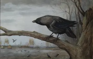 Jan van Oort - Bonte kraai op boomtak kopen? Bied vanaf 295!