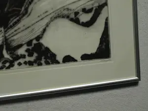 Uto Hogerzeil - Ingelijste ets en aquatint , Emoe’s (?) – 1980 – Lijst, 42 x 52 cm. kopen? Bied vanaf 60!