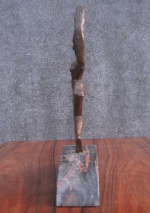 Frans van de Ven - Gejaagd door de wind. kopen? Bied vanaf 90!