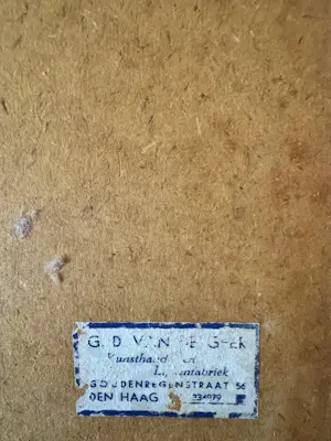 Arie Zonneveld - Cactus kopen? Bied vanaf 150!