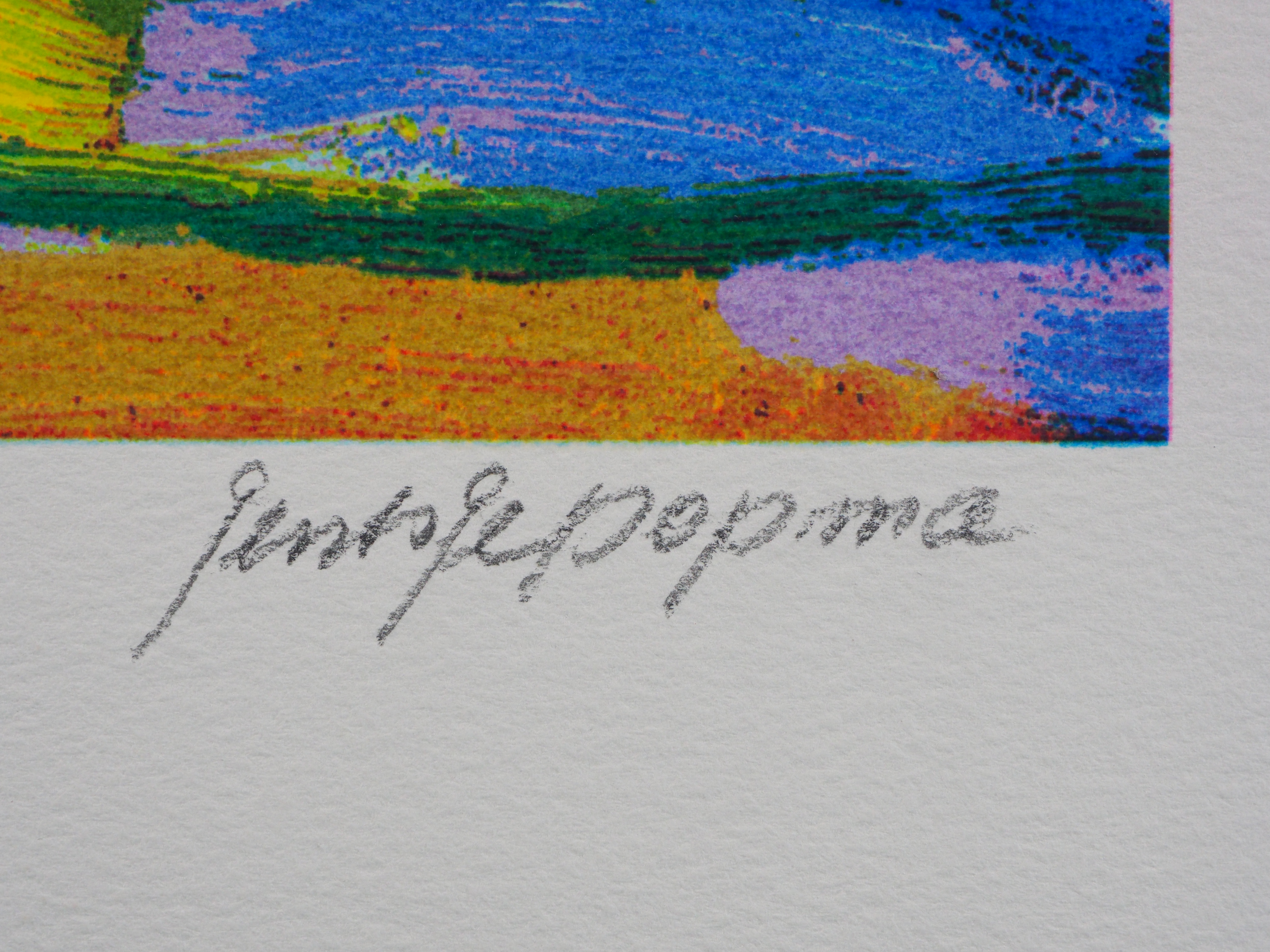 Jentsje Popma - Zomer kopen? Bied vanaf 60!