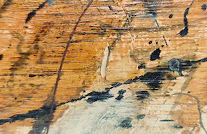 Mariusz Krawczyk - Olieverf op doek, Rites - 11 kopen? Bied vanaf 1!