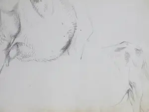 Frans Lebret - Drie studies van een rund - Tekeningen kopen? Bied vanaf 75!