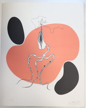 Felix Labisse - LE ROSE - PLEURS kopen? Bied vanaf 35!