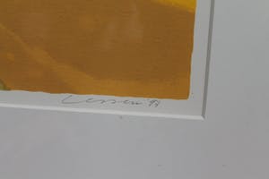 Henk van Vessem - onbekend kopen? Bied vanaf 10!