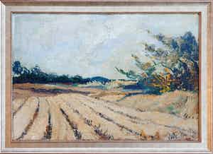 Peter van den Braken - Landschap verkocht voor € 125!