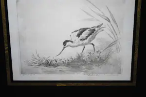 Maarten Langbroek - Kluut - fraai ingelijste ets kopen? Bied vanaf 50!