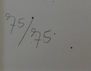 Ronald Tolman - Dansende vrouw met kind - 1989 kopen? Bied vanaf 90!