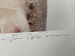 Paul Blanca - SUGAR BABE kopen? Bied vanaf 300!