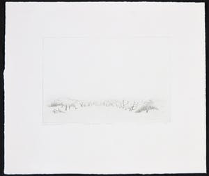 Jan van Winkel - Ets, Tweede duinets Vlieland kopen? Bied vanaf 1!