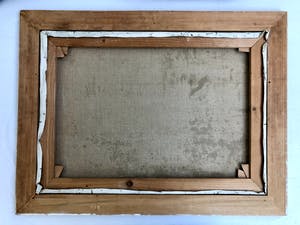 Ad van der Kop - Knotwilgen - Olieverf op doek, Fraai Ingelijst kopen? Bied vanaf 175!