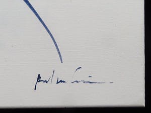 Rob van Trier - Harlequine kopen? Bied vanaf 100!