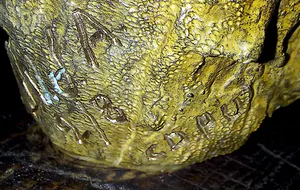 Jacques Van Den Abeele - Violonist, bronzen beeld (groot, zwaar) kopen? Bied vanaf 2750!