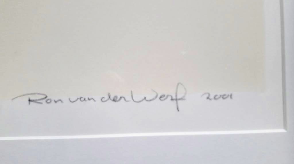 Ron van der Werf - Journey I kopen? Bied vanaf 80!