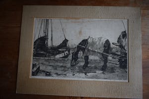 Jan Sirks - Paard op de kade kopen? Bied vanaf 40!