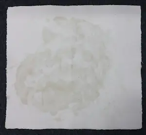 Anton Heyboer - Oost-indische inkt en acryl op dik papier, De oervogel kopen? Bied vanaf 300!