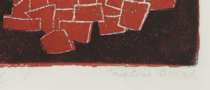 Pauline Braat - Ets en aquatint, Vliegeren kopen? Bied vanaf 1!