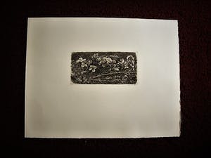 Dirk van Gelder - Meester graficus - HERFST - spin, denneappels etc- oplage 75 - potloodgesignrd kopen? Bied vanaf 52!