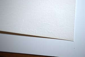 Sam Drukker - LITHO naakt >extra> ETS door Leonor FINI kopen? Bied vanaf 75!