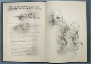 Dirkje Kuik - Petit 3 met 2 gesigneerde litho’s kopen? Bied vanaf 99!