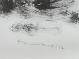 Flip van der Burgt - Storm Burgerdam - Ets kopen? Bied vanaf 40!