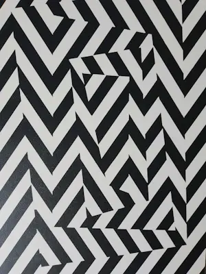 Wiesje van Dam - A new door, a new dream! kopen? Bied vanaf 20!